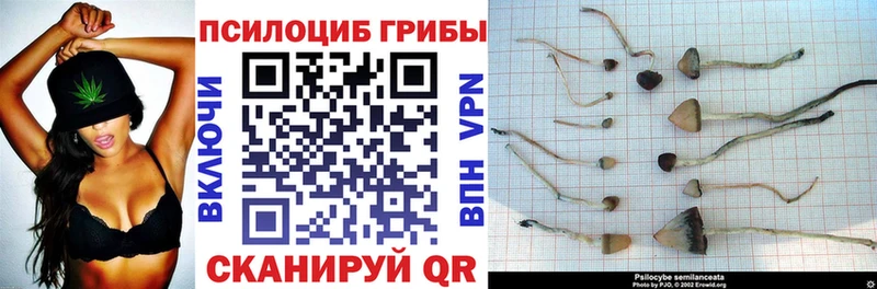 Галлюциногенные грибы Magic Shrooms  где найти   мега как зайти  Новая Усмань 
